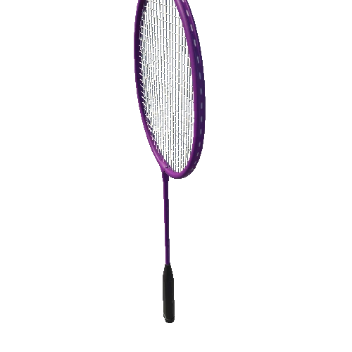 Badminton Racket Triangulate (29)